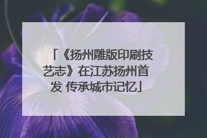 《扬州雕版印刷技艺志》在江苏扬州首发 传承城市记忆