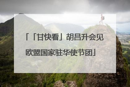 「甘快看」胡昌升会见欧盟国家驻华使节团