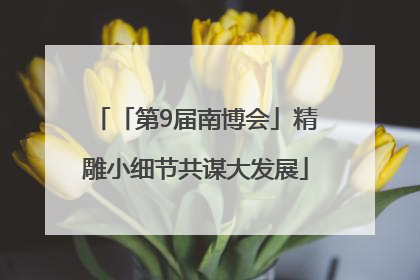 「第9届南博会」精雕小细节共谋大发展