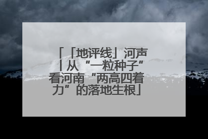 「地评线」河声丨从“一粒种子”看河南“两高四着力”的落地生根