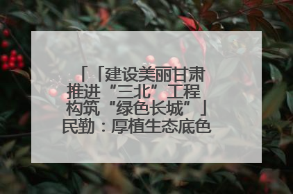 「建设美丽甘肃 推进“三北”工程 构筑“绿色长城”」民勤：厚植生态底色 筑牢绿色屏障