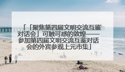 「聚焦第四届文明交流互鉴对话会」可触可感的敦煌——参加第四届文明交流互鉴对话会的外宾参观上元市集