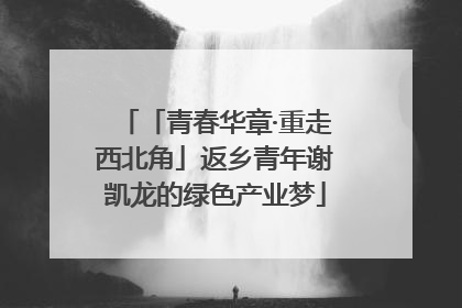 「青春华章·重走西北角」返乡青年谢凯龙的绿色产业梦