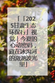 「2025甘肃生态环保行」视觉｜今夏的心动密码，藏在冰沟河的潋滟波光里