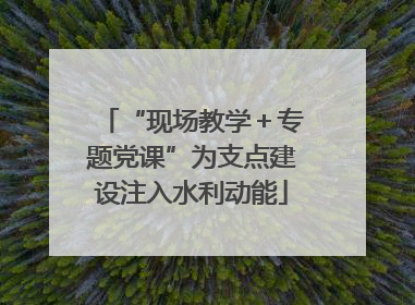 “现场教学＋专题党课”为支点建设注入水利动能