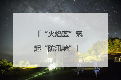“火焰蓝”筑起“防汛墙”