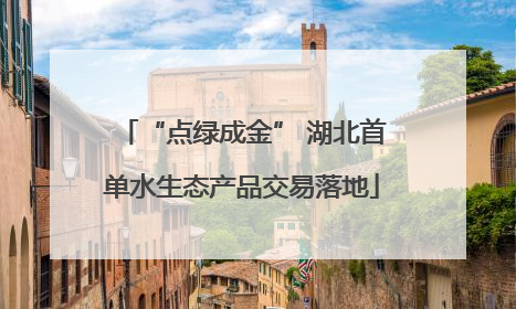 “点绿成金” 湖北首单水生态产品交易落地