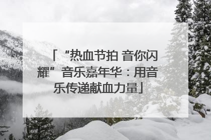 “热血节拍 音你闪耀”音乐嘉年华：用音乐传递献血力量