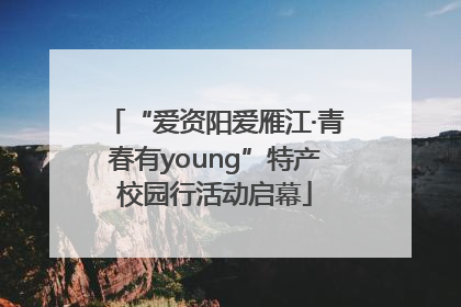 “爱资阳爱雁江·青春有young”特产校园行活动启幕