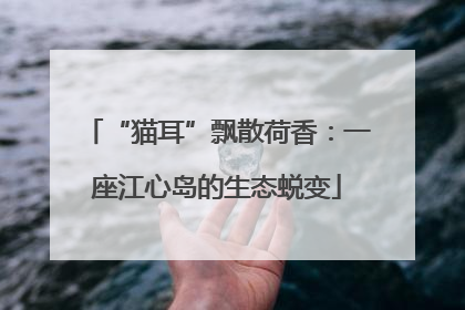 “猫耳”飘散荷香：一座江心岛的生态蜕变