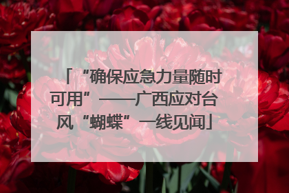 “确保应急力量随时可用”——广西应对台风“蝴蝶”一线见闻