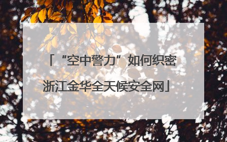 “空中警力”如何织密浙江金华全天候安全网