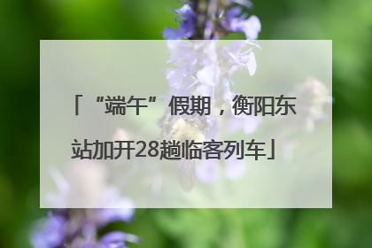 “端午”假期，衡阳东站加开28趟临客列车