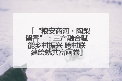 “粮安商河・陶梨留香”：三产融合赋能乡村振兴 跨村联建绘就共富画卷