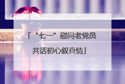 “七一”慰问老党员 共话初心叙真情