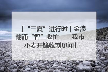 “三夏”进行时｜金浪翻涌“智”收忙——我市小麦开镰收割见闻
