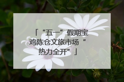 “五一”假期宝鸡陈仓文旅市场“热力全开”