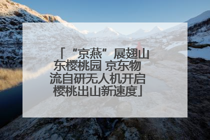 “京燕”展翅山东樱桃园 京东物流自研无人机开启樱桃出山新速度