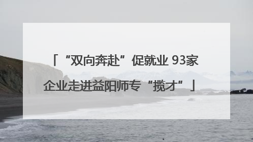 “双向奔赴”促就业 93家企业走进益阳师专“揽才”