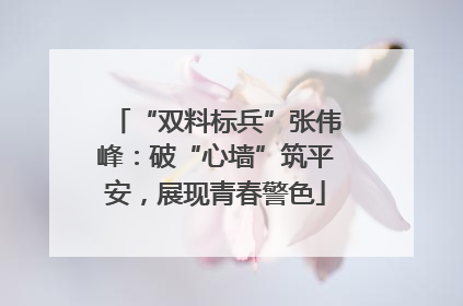 “双料标兵”张伟峰：破“心墙”筑平安，展现青春警色