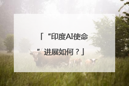“印度AI使命”进展如何？
