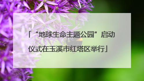 “地球生命主题公园”启动仪式在玉溪市红塔区举行