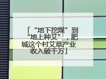 “地下挖煤”到“地上种艾”，肥城这个村艾草产业收入破千万