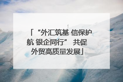 “外汇筑基 信保护航 银企同行” 共促外贸高质量发展