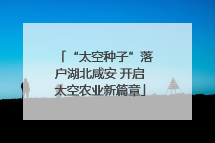 “太空种子”落户湖北咸安 开启太空农业新篇章