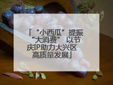 “小西瓜”提振“大消费” 以节庆IP助力大兴区高质量发展