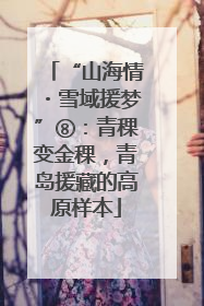 “山海情・雪域援梦”⑧：青稞变金稞，青岛援藏的高原样本