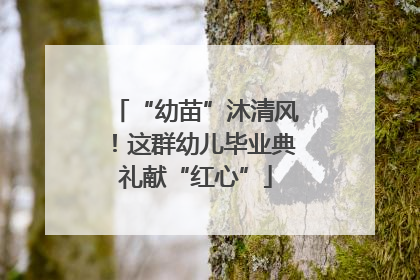 “幼苗”沐清风！这群幼儿毕业典礼献“红心”