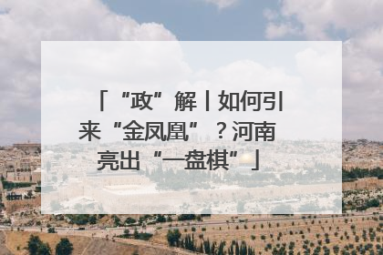 “政”解丨如何引来“金凤凰”？河南亮出“一盘棋”