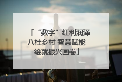 “数字”红利润泽八桂乡村 智慧赋能绘就振兴画卷