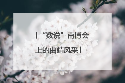 “数说”南博会上的曲靖风采