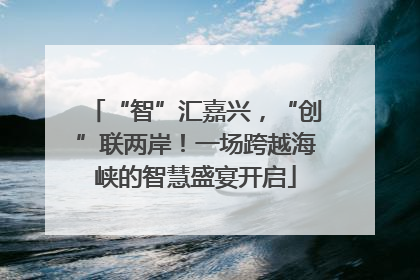 “智”汇嘉兴，“创”联两岸！一场跨越海峡的智慧盛宴开启