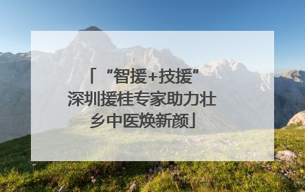 “智援+技援” 深圳援桂专家助力壮乡中医焕新颜
