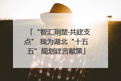 “智汇荆楚·共建支点” 我为湖北“十五五”规划建言献策