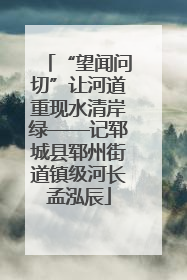 “望闻问切”让河道重现水清岸绿——记郓城县郓州街道镇级河长孟泓辰