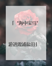 “海中宝马”游进霞浦盐田