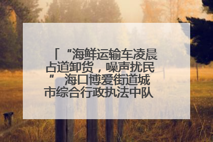 “海鲜运输车凌晨占道卸货，噪声扰民” 海口博爱街道城市综合行政执法中队：将联合交警加强长堤路一带巡逻