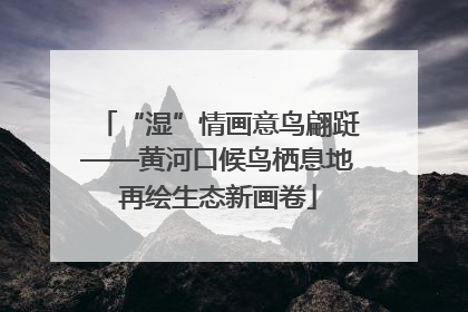 “湿”情画意鸟翩跹——黄河口候鸟栖息地再绘生态新画卷