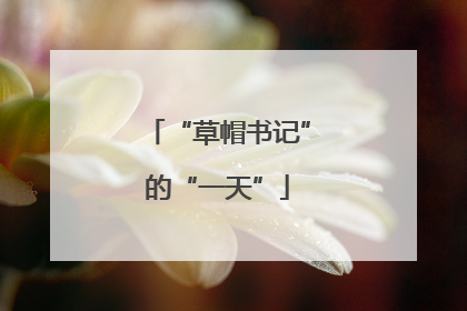 “草帽书记”的“一天”