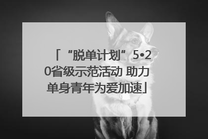 “脱单计划”5•20省级示范活动 助力单身青年为爱加速