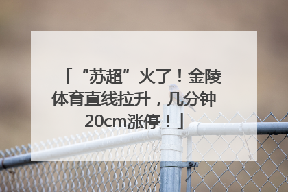 “苏超”火了！金陵体育直线拉升，几分钟20cm涨停！