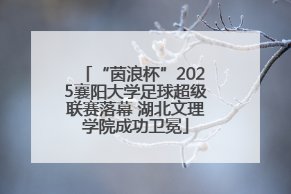 “茵浪杯”2025襄阳大学足球超级联赛落幕 湖北文理学院成功卫冕