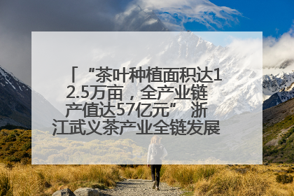 “茶叶种植面积达12.5万亩，全产业链产值达57亿元” 浙江武义茶产业全链发展“加速度”