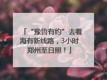 “豫鲁有约”去看海有新线路，3小时郑州至日照！