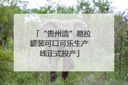 “贵州造”易拉罐装可口可乐生产线正式投产