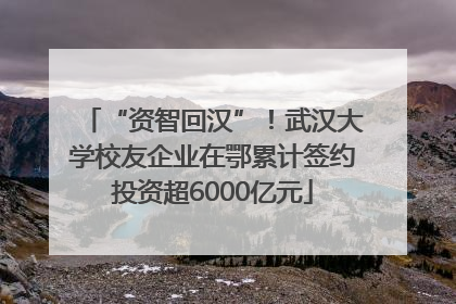 “资智回汉”！武汉大学校友企业在鄂累计签约投资超6000亿元